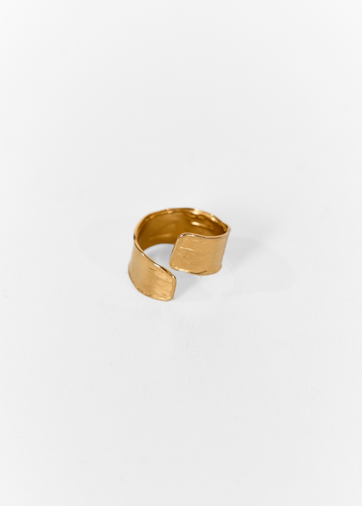 Erin ring goud