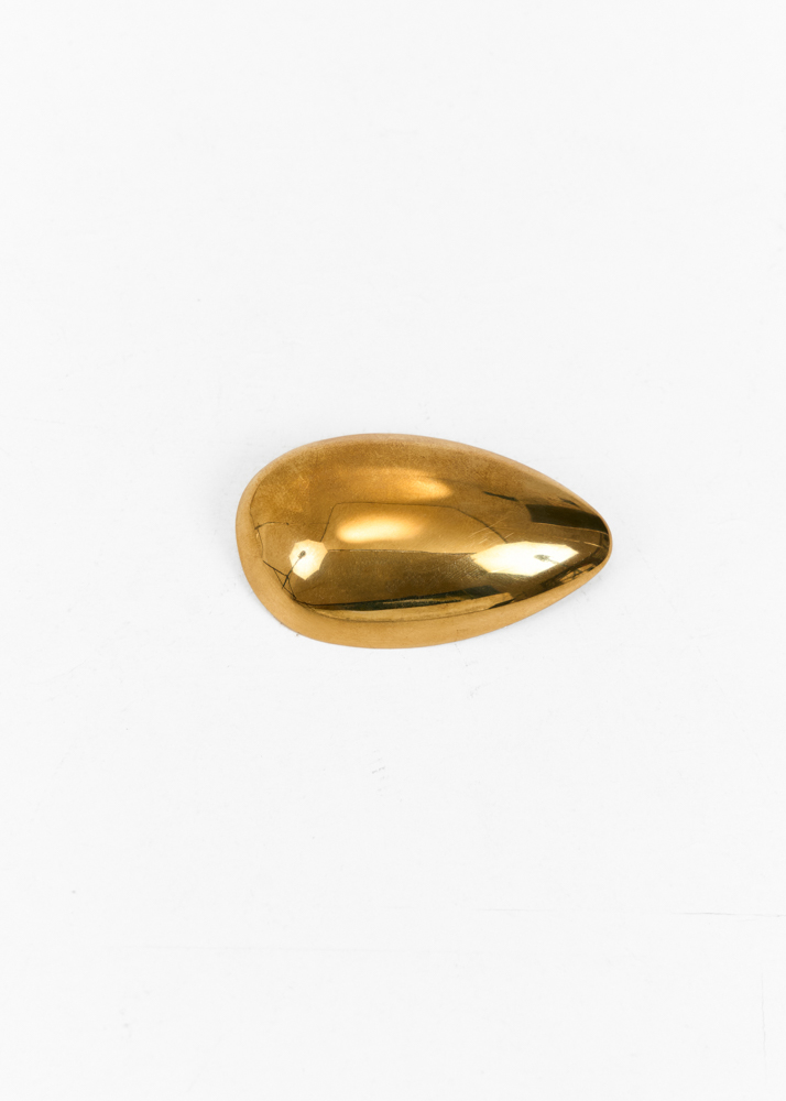 Suus broche