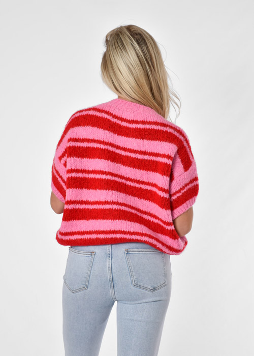 Estelle trui roze