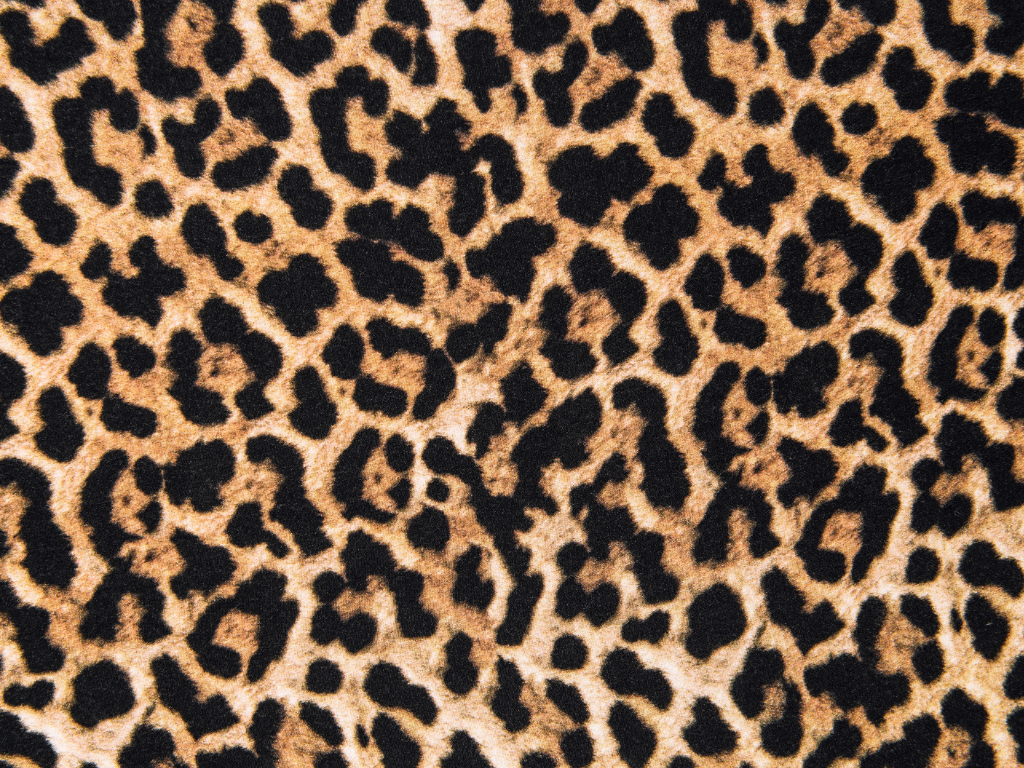 Celine top panter