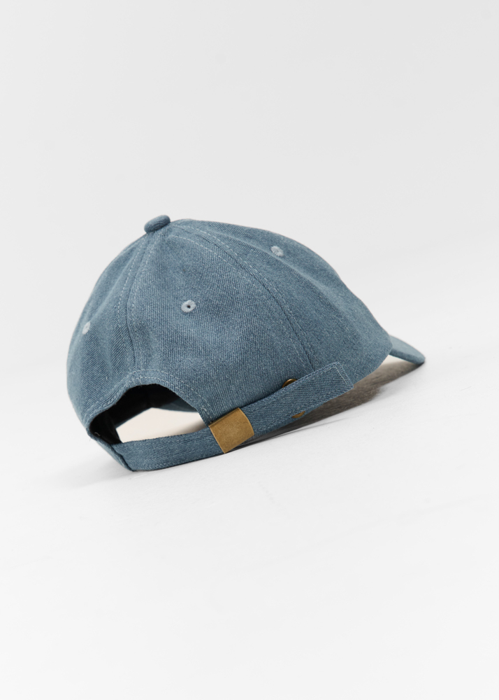 Friday Denim pet