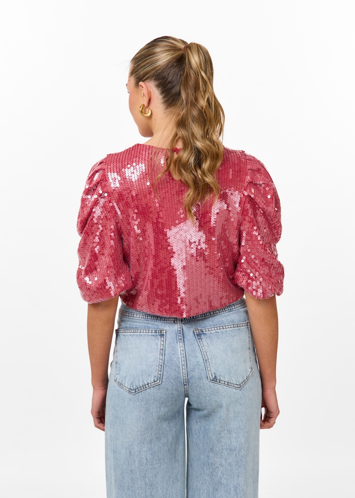 Anne glitter top