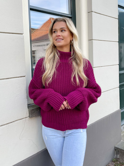 Evianne trui paars