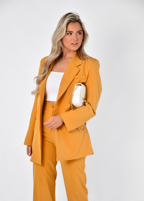 Yara blazer geel