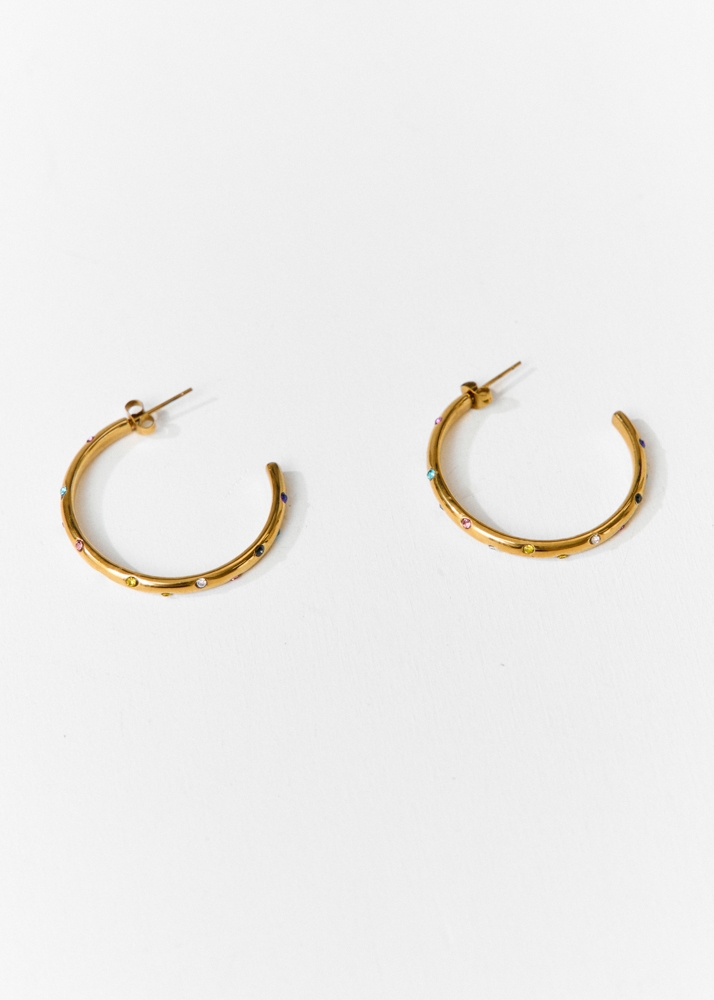 Merel strass multikleur oorbellen