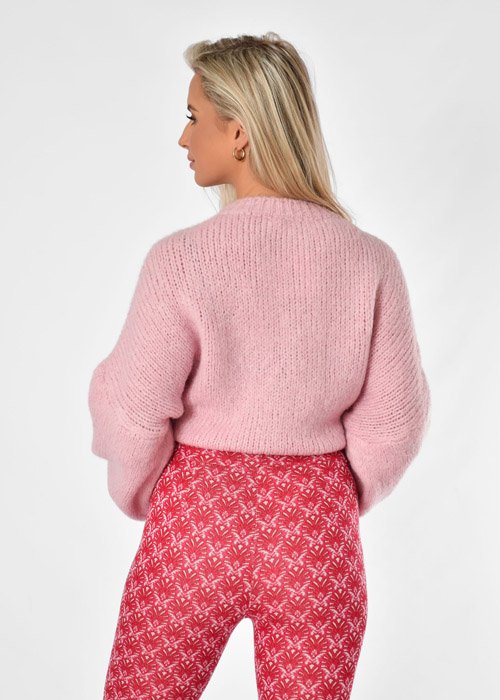Fien trui licht roze